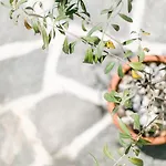 ゲストハウス Anastasia スカラ・ポタミアス